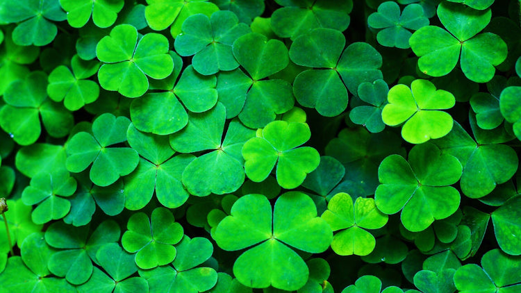 St Patrick’s Day