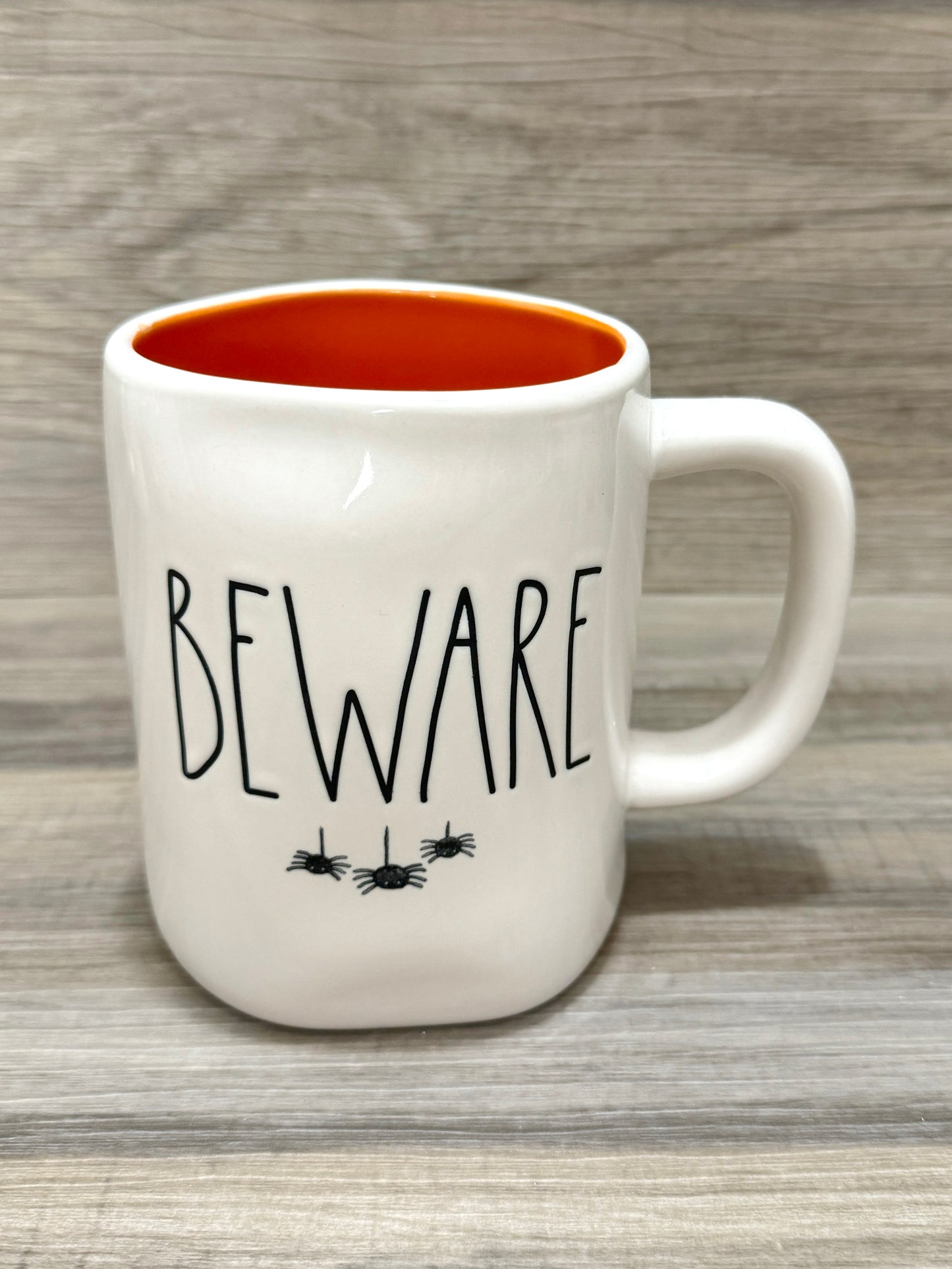 Rae Dunn Beware Watercolor Spiders Mug
